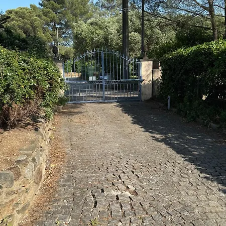 Le Mazet Du Grand Pin Ferienhaus *
