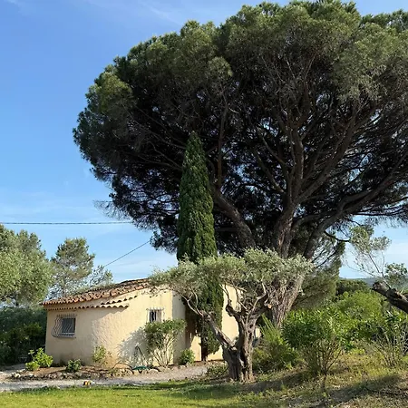 Vakantiehuis Le Mazet Du Grand Pin