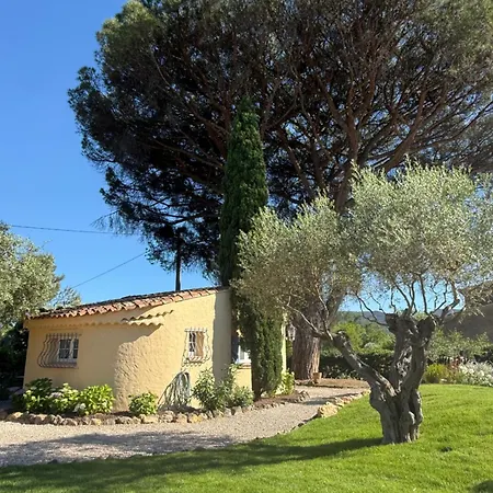 Le Mazet Du Grand Pin Cogolin