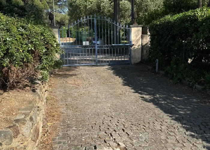 Le Mazet Du Grand Pin 別荘 *